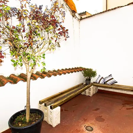 Vut Limoneros Laranitasalmantina Apartment *